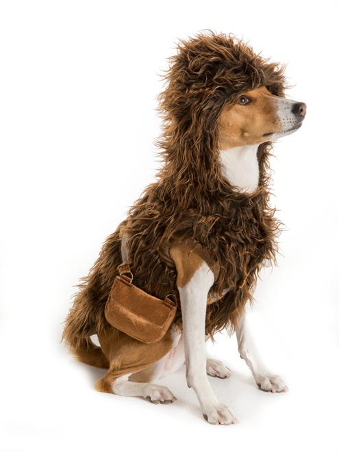 Turn your pet into Chewbacca for a night.