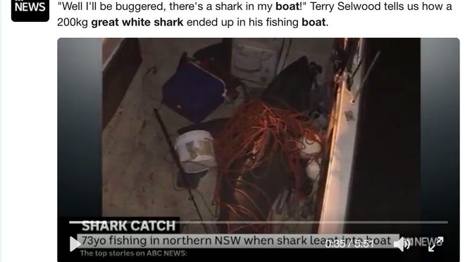 An Australian fisherman was injured over the weekend after a giant great white shark launched itself into his boat.