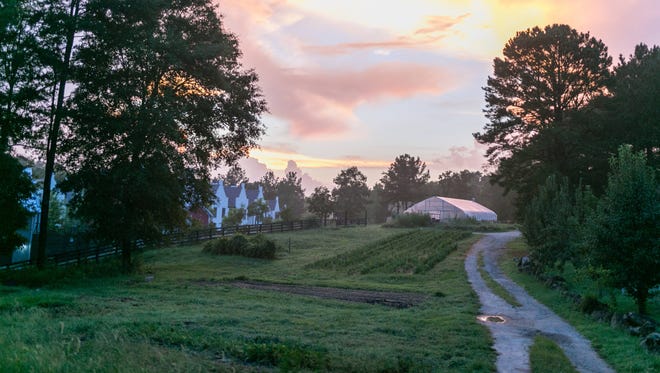 Just 45 minutes south of Atlanta’s city center, the Serenbe community feels like another world. It’s a destination for horseback riding, boutique shopping, art galleries and theater.