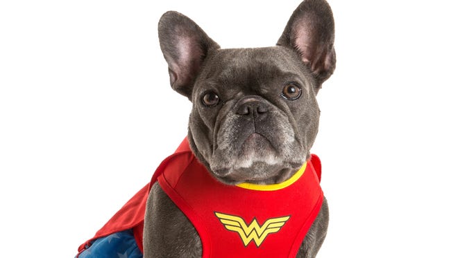 Superheroes, including Wonder Woman, are the eighth most popular pick for pets this Halloween.