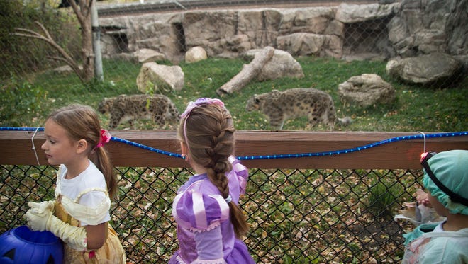 Petra Koch, 6, left, and Sloan Edwards, 5, both of Cumming check out some of the big cats while trick-or-treating during Night Eyes at Blank Park Zoo in Des Moines, Iowa, Thursday, Oct. 15, 2015.