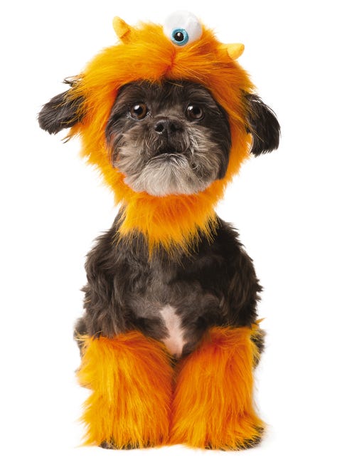 This year, you can dress up your little monster for Halloween, too, in this Thrills and Chills costumes from PetSmart.
