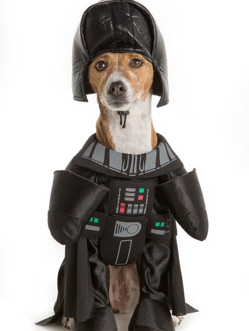 Your dog could cross over to the dark side Halloween night with this Thrills and Chills Darth Vader costume.