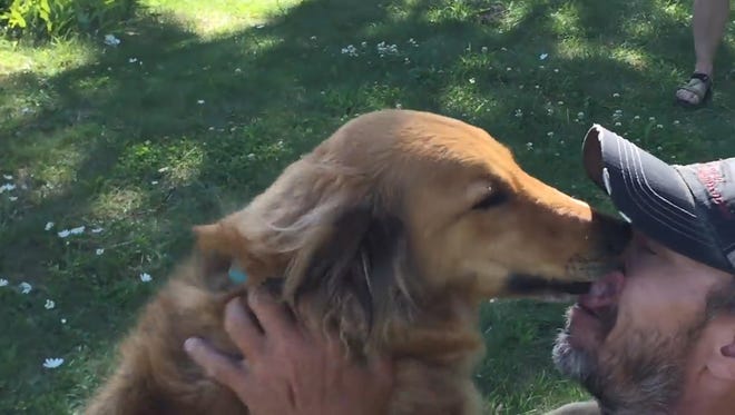 This Golden Retriever survived 10 days in the wild before covering his owner with kisses upon their reunion.