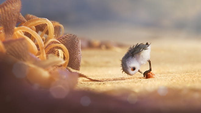 A hungry sandpiper hatchling ventures from her nest for the first time to dig for food by the shoreline in 'Piper,' a new short from Pixar. The film won Best Short Film (Animated.)