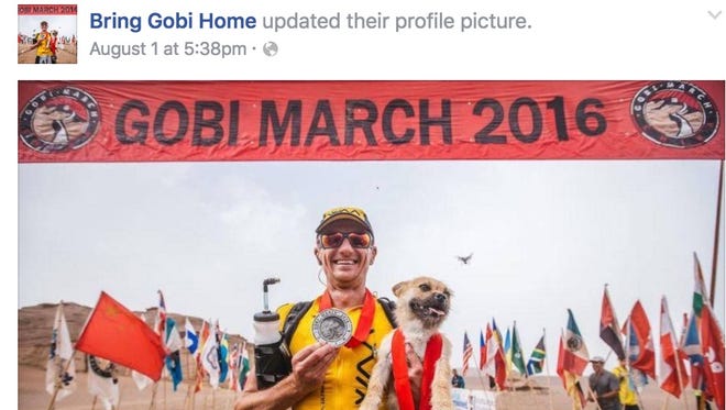 A stray dog won the heart of an extreme marathon runner, after tagging along while he raced across the Gobi desert in China.