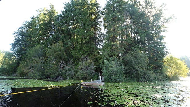 The secluded Clark Island property in Island Lake.